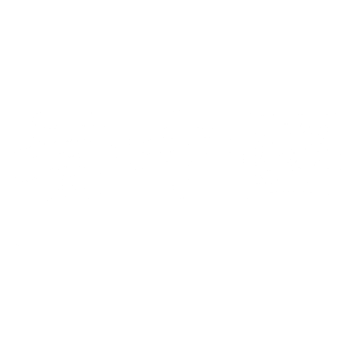 Vision Times China logo